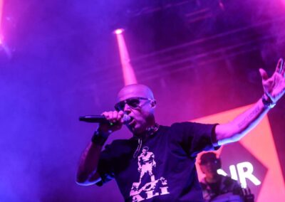 Robotiko Rejekto DarkMAD 2019