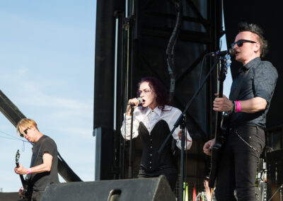 The March Violets